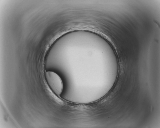 X0000102791525200808180942