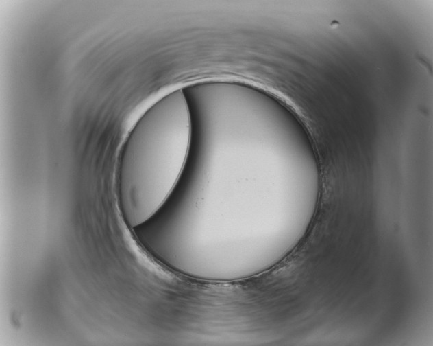 X0000102791526200808180942