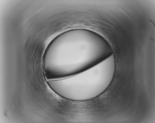 X0000102791527200808180943