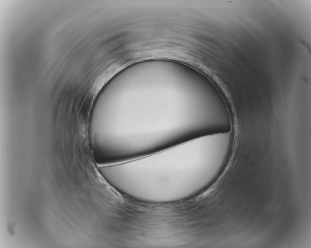 X0000102791529200808180943