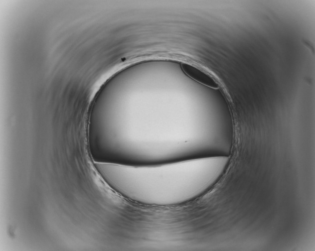 X0000102791530200808180943