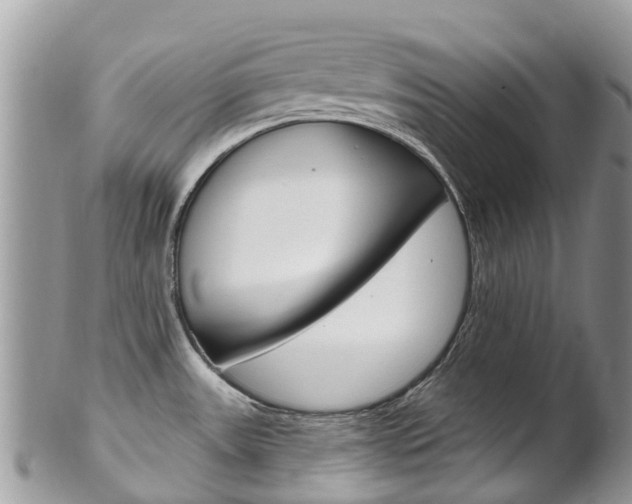 X0000102791531200808180943