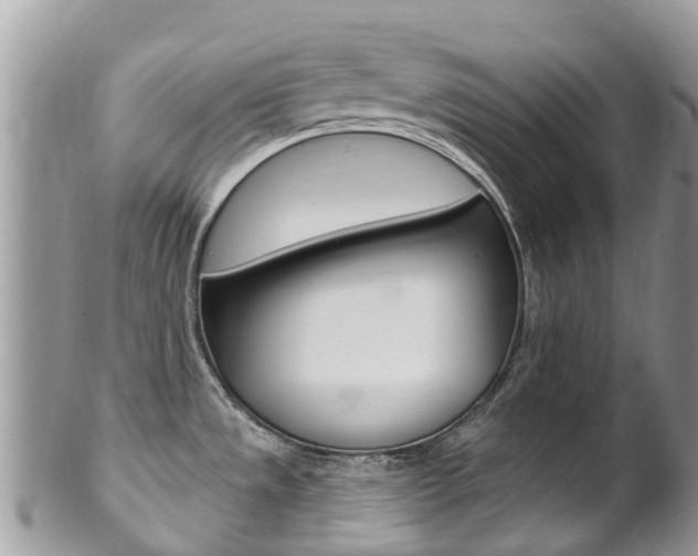 X0000102791533200808180943