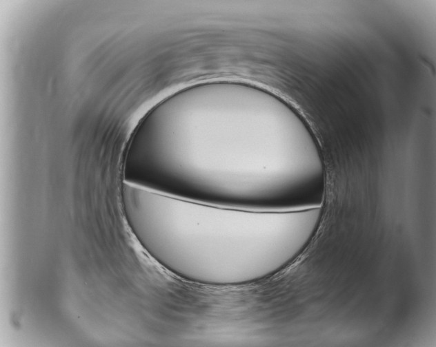 X0000102791534200808180943