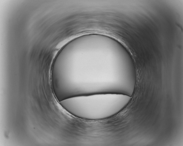 X0000102791535200808180943