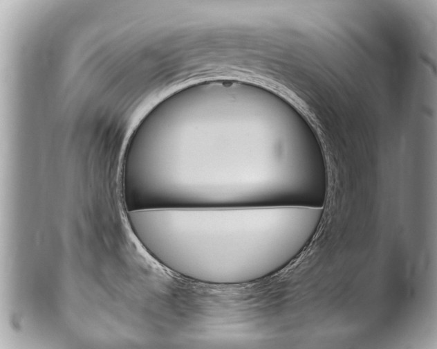 X0000102791536200808180943