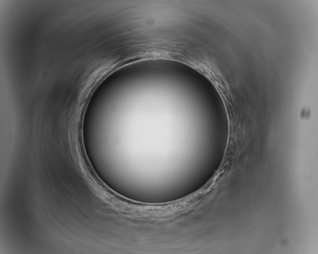 X0000102790001200808181311