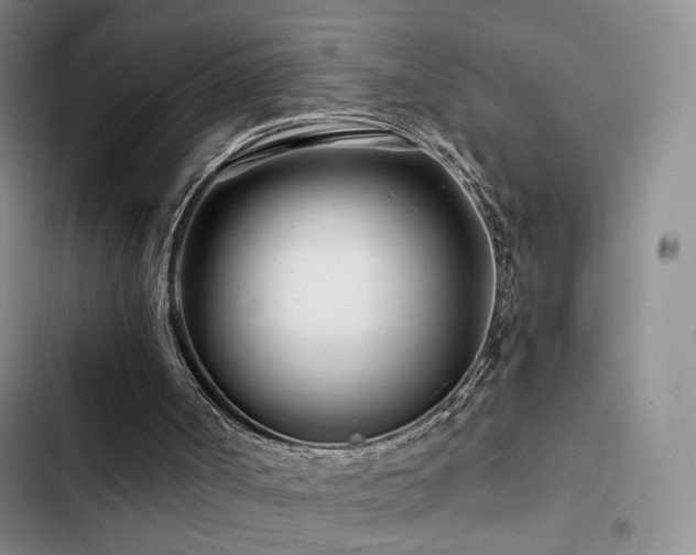X0000102790002200808181311