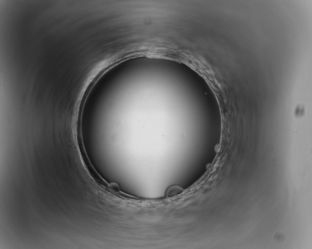 X0000102790003200808181311