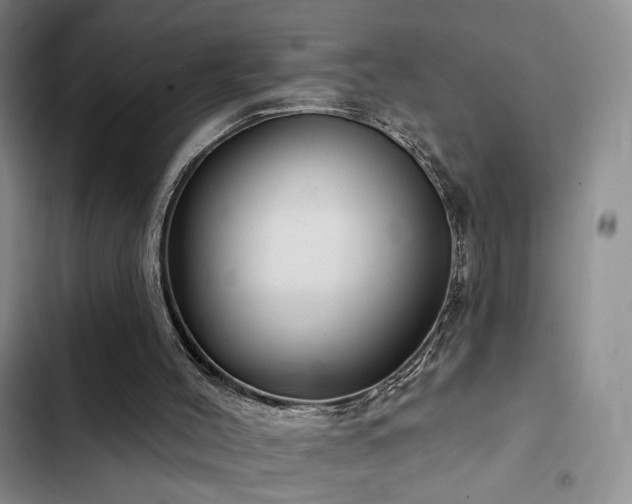 X0000102790004200808181311