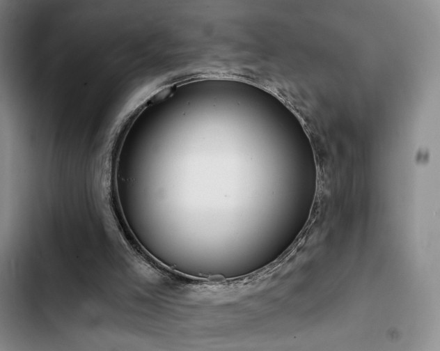 X0000102790005200808181311