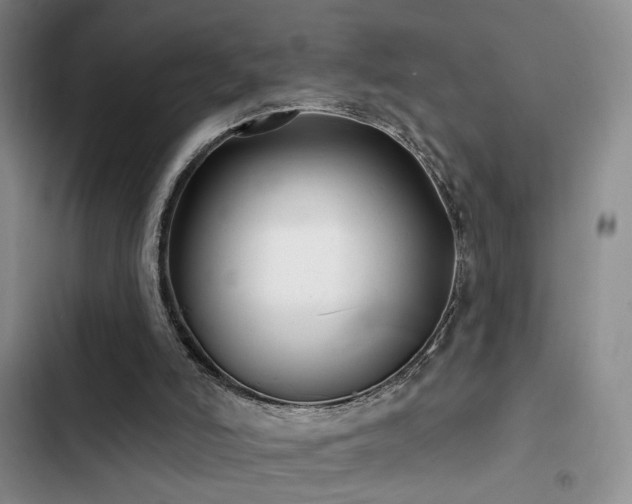 X0000102790006200808181311