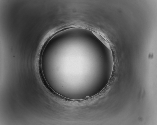 X0000102790007200808181311
