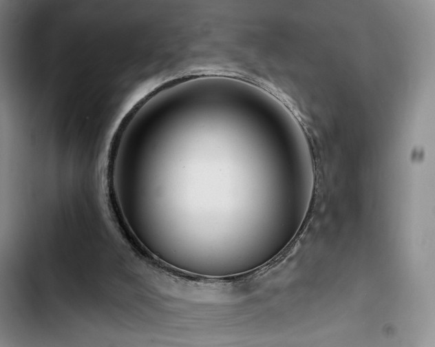 X0000102790008200808181311