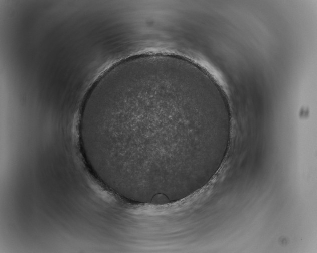 X0000102790009200808181311