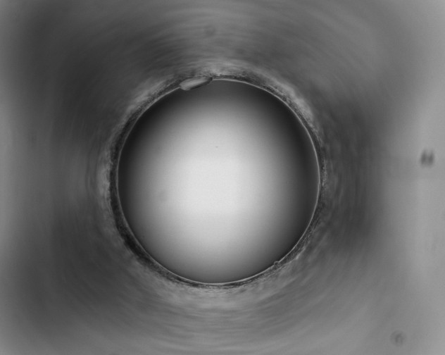 X0000102790010200808181311