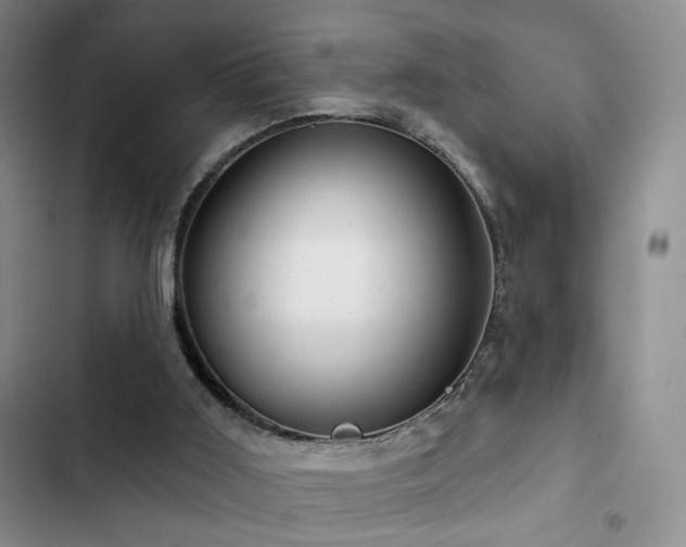 X0000102790011200808181311