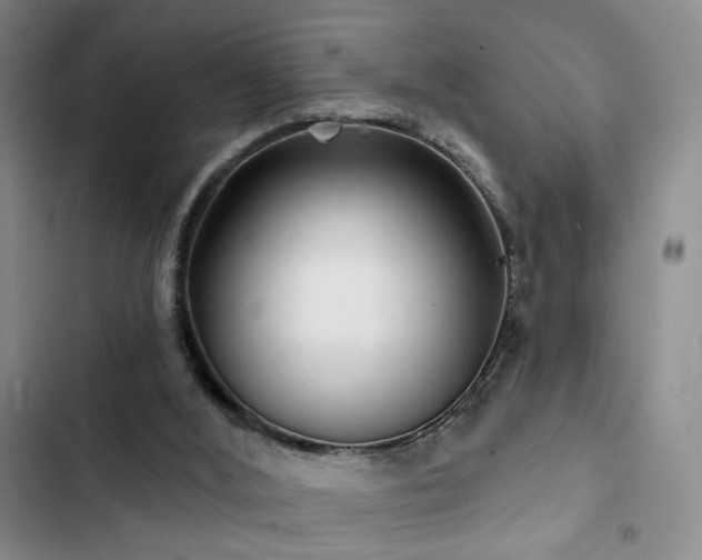 X0000102790012200808181311