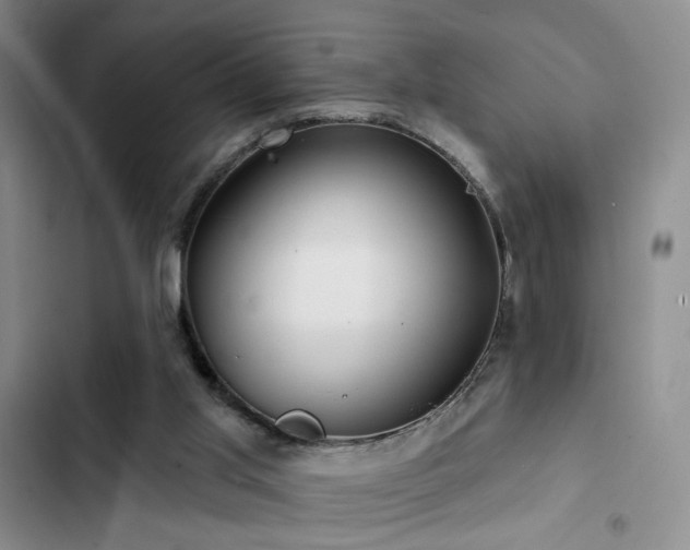 X0000102790013200808181311