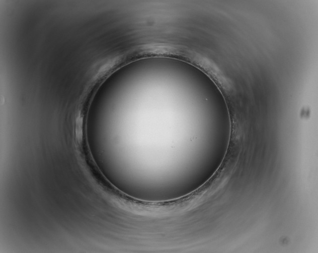 X0000102790014200808181311