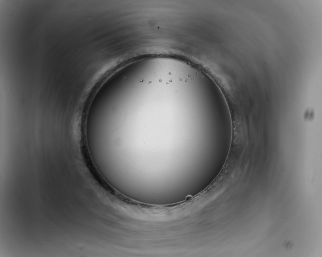 X0000102790015200808181311
