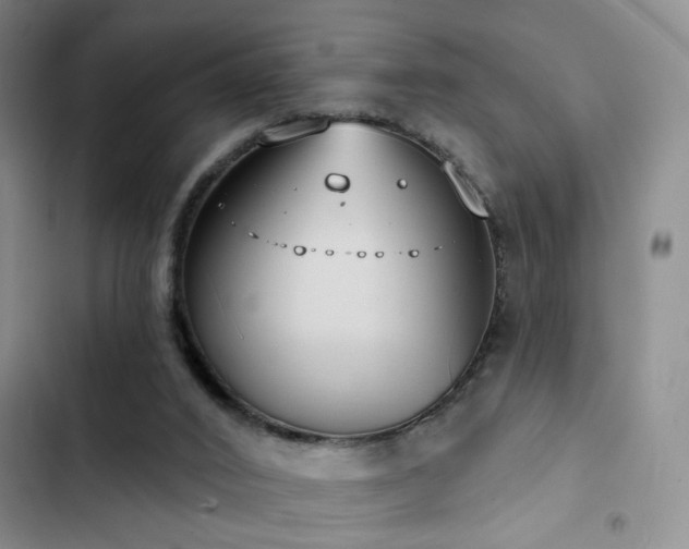 X0000102790016200808181311