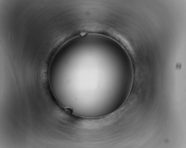 X0000102790017200808181311
