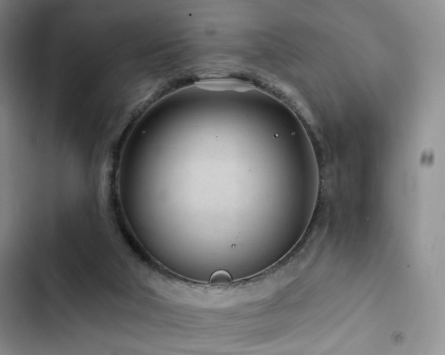 X0000102790018200808181311