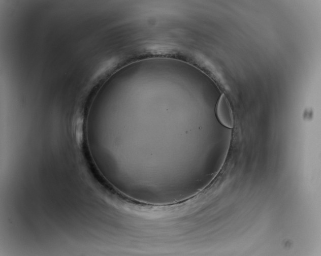X0000102790019200808181311
