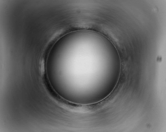 X0000102790020200808181311