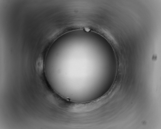 X0000102790021200808181311