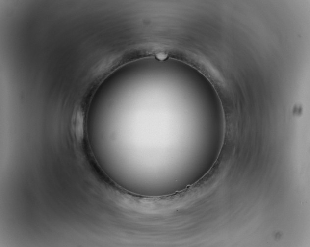 X0000102790022200808181311