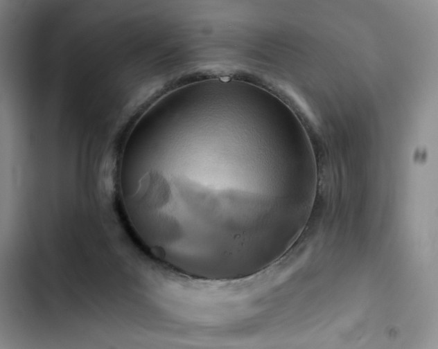 X0000102790023200808181311