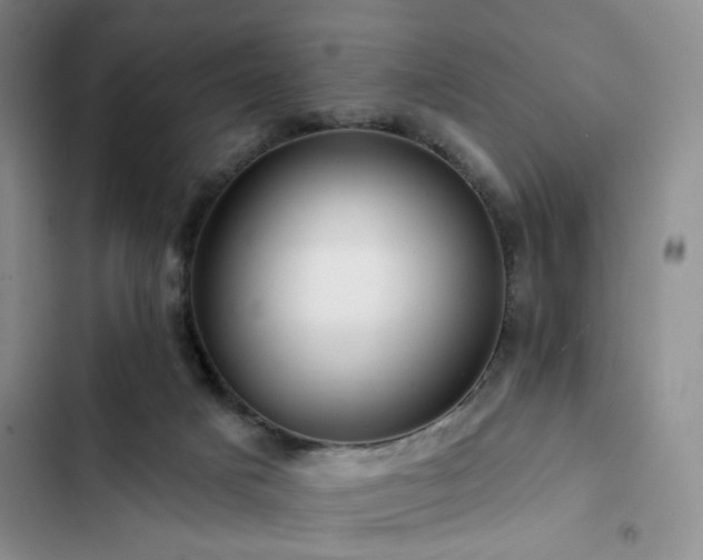 X0000102790025200808181311