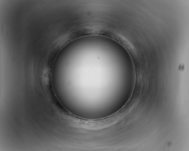 X0000102790026200808181311