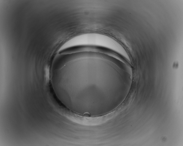 X0000102790027200808181311