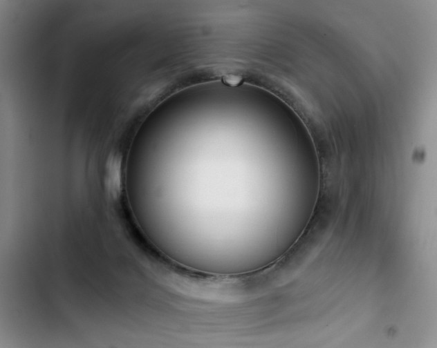 X0000102790028200808181311