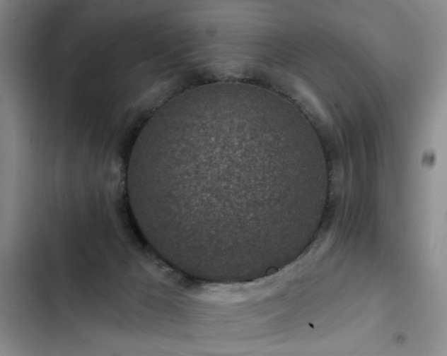 X0000102790029200808181311