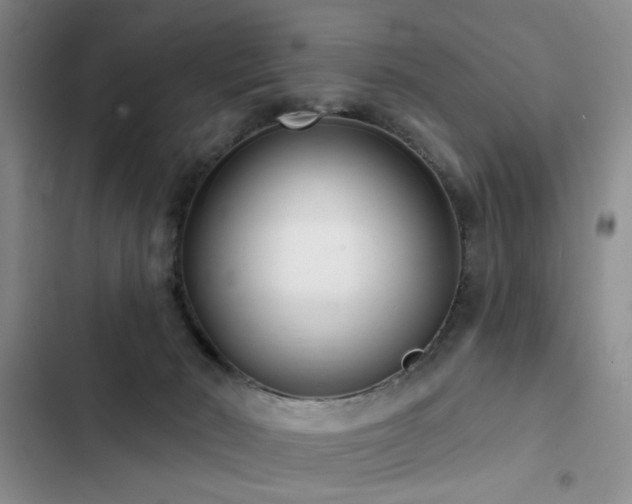 X0000102790030200808181311