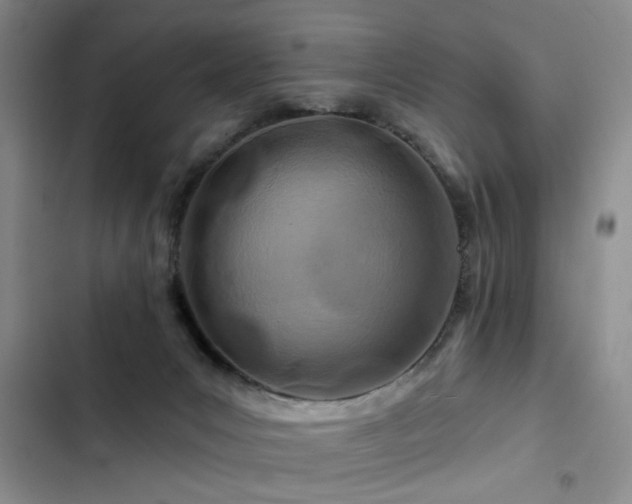 X0000102790031200808181311