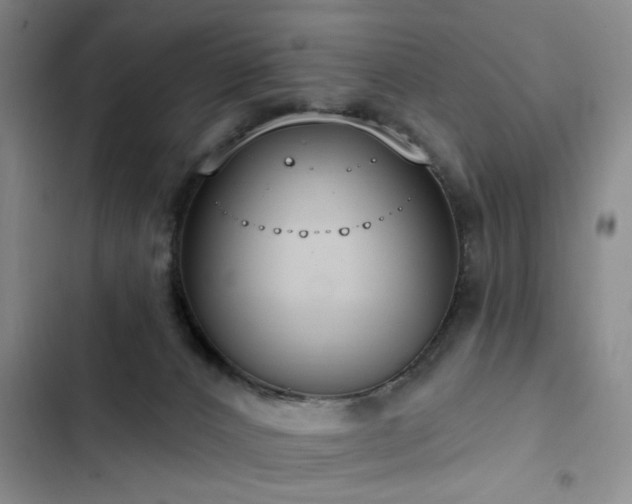 X0000102790032200808181311