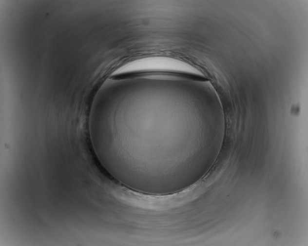 X0000102790035200808181310