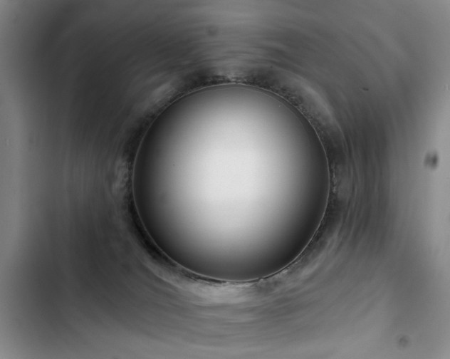 X0000102790036200808181310