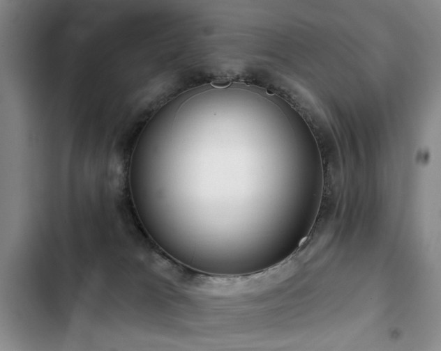 X0000102790037200808181310