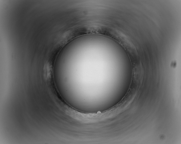 X0000102790038200808181310