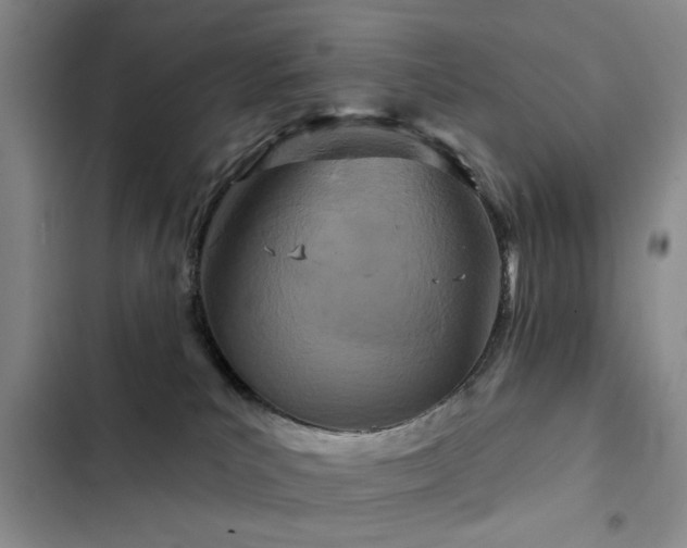 X0000102790039200808181310