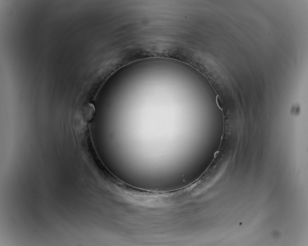 X0000102790040200808181310
