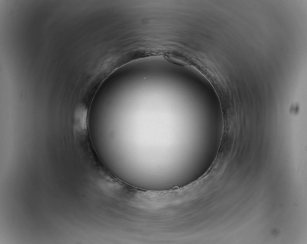 X0000102790041200808181310