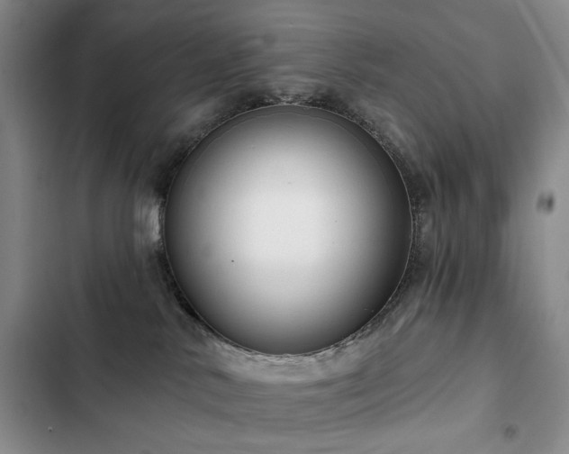 X0000102790042200808181310