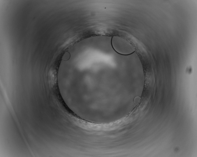 X0000102790043200808181310